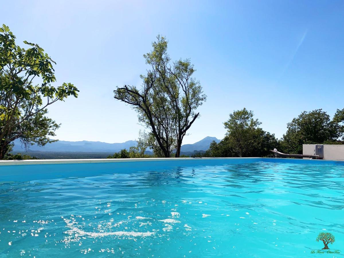 La Finca Olivetree Katuni Екстер'єр фото